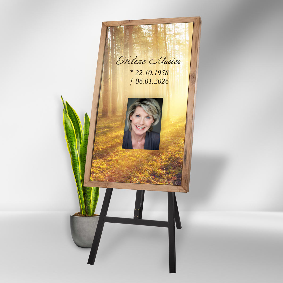 FUNERALdisplay – PRO – Bild 2